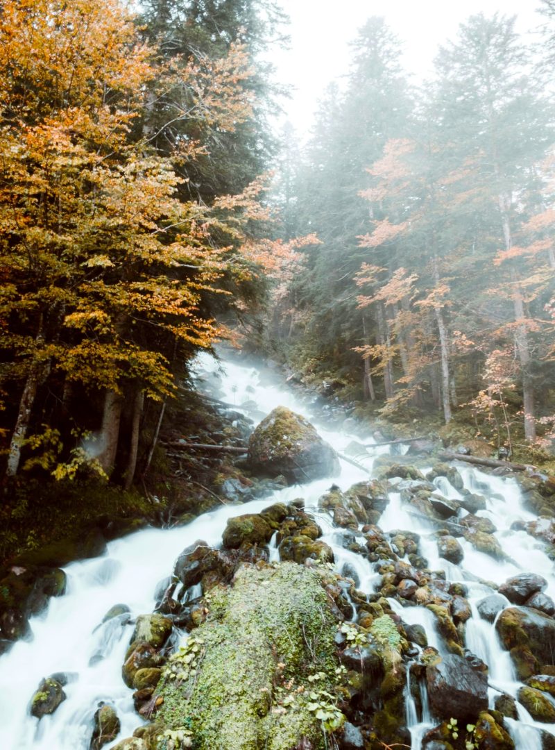 Cascada en bosque de Benasque